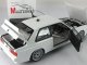     E30 M3 DTM PLAIN BODY VERSION (Autoart)