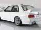     E30 M3 DTM PLAIN BODY VERSION (Autoart)