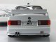     E30 M3 DTM PLAIN BODY VERSION (Autoart)