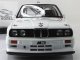     E30 M3 DTM PLAIN BODY VERSION (Autoart)