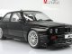     E30 M3 DTM (Autoart)