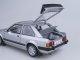    1984 Ford Escort RS1600i (Strato Silver) (Sunstar)