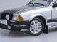    1984 Ford Escort RS1600i (Strato Silver) (Sunstar)