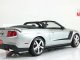      ROUSH 427 R (Maisto)