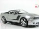      ROUSH 427 R (Maisto)