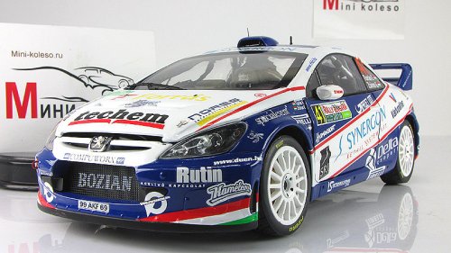  307 WRC - #41