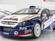     307 WRC - #41 (Sunstar)