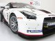      FIA GT1 WORLD CHAMPIONSHIP 2010 (Autoart)