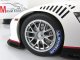      FIA GT1 WORLD CHAMPIONSHIP 2010 (Autoart)