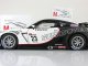      FIA GT1 WORLD CHAMPIONSHIP 2010 (Autoart)