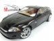     XK 2006  (Autoart)