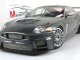     XKR GT3 (Minichamps)