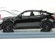     X6M Hamann Tycoon Evo (Neo Scale Models)