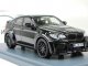     X6M Hamann Tycoon Evo (Neo Scale Models)