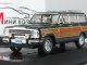     Wagoneer 44 (Premium X)