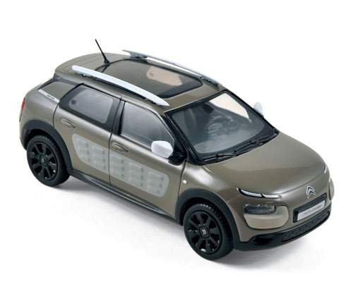 C4 cactus miniature online