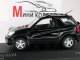     RAV 4,  (Minichamps)