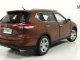     X-Trail (Paudi Models)