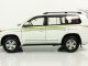    Toyota Land Cruiser 200 (Paudi Models)