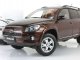     RAV4 (Paudi Models)