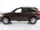     RAV4 (Paudi Models)